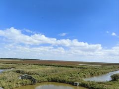 -盐城丹顶鹤湿地生态旅游区