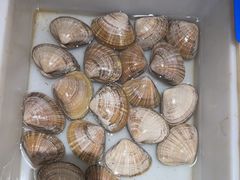 -品味居·首店·大连鲜活海鲜大连菜(东港店)