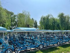 -野鸭湖国家湿地公园