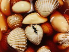 -铭聚章鱼土笋冻(松柏店)