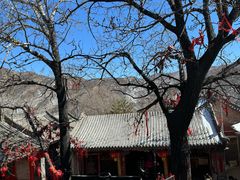 -五台山风景名胜区