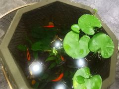 -时光漫步S酒店(成都宽窄巷子店)