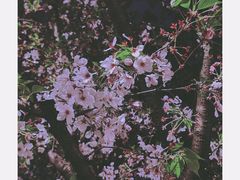 -龙美术馆(西岸馆)