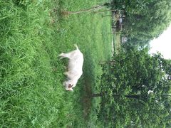 iphone_upload_pic-旺山景区