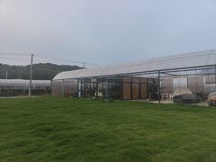 -美家乐农庄·露营·团建(大治路店)