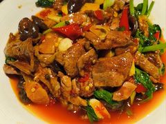 -陈麻婆豆腐总店