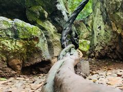 -杭州西湖风景名胜区-三生石