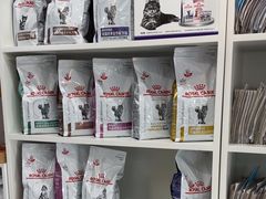 -爱侣宠医·鹦鹉专科·小型哺乳类·异宠专科(灵石路店)