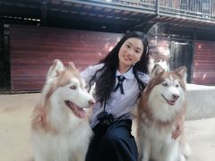 -TrueLove @ Neverland (Husky Cafe)