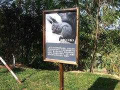 -欢乐松鼠谷