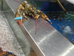 -盒马鲜生(悦峰店)