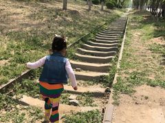 -永定河休闲森林公园