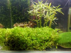 -椿树下·Tattoo纹身工作室