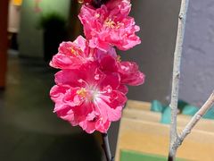 -青藤茶馆(凤起路店)