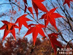 -梁鸿国家湿地公园