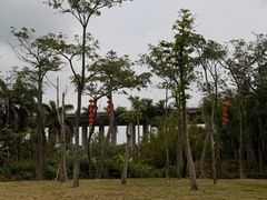 -中澳友谊花园