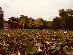 -四川大学(望江校区)