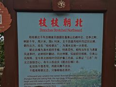 -安溪清水岩