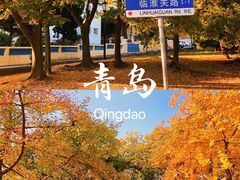 -八大关景区