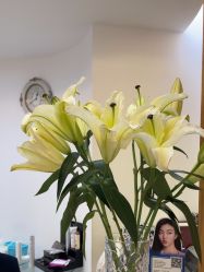 -天津伊美尔医疗整形美容专科医院