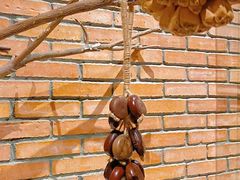 -园里火锅(仁和新城店)