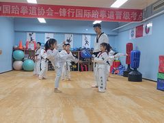 -嗨动跆拳道体能馆(菜百店)
