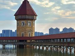 -九龙湖公园