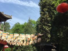 -兴教寺
