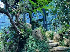 -东莞植物园