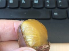 -阿男野栗王(金门路店)