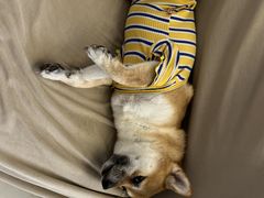 -怪兽屋·羊驼·猫咖·狗咖(俊华广场店)