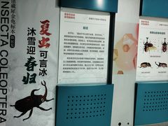 -吉林省自然博物馆
