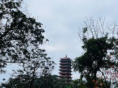 -缙云山景区