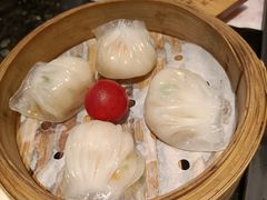 -新兴·金羊座·粤菜点心(乐峰店)