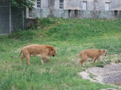 -西安秦岭野生动物园