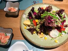 和风沙拉-提香日本料理