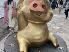 -星光大道