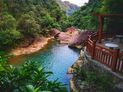 -广州白江湖森林公园