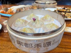 -宋都禾源·灌汤包子(汉兴路直营店)