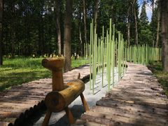 -黄海国家森林公园