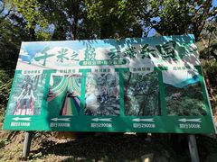 -沂蒙山旅游区云蒙景区(蒙山国家森林公园)
