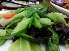 -盛京富丽园老菜馆·东北菜(和平南大街店)