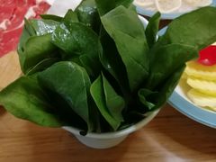 -青瓷火锅料理(西单大悦城店)