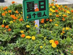 -中粮·祥云小镇