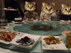 -清雅轩·清真菜·传统菜•融合菜(滑翔店)