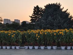 -北陵公园