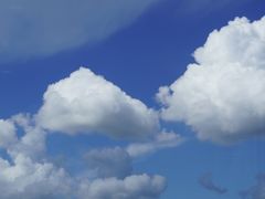 -中环4号渡轮码头