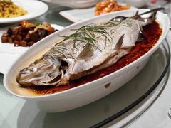 清蒸翘壳鱼-香丰阁·烤鸭·川湘菜(清河店)