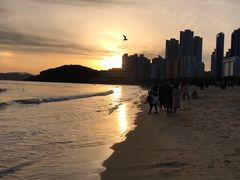 -海云台海滩