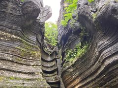 -梭布垭石林景区